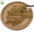 Highest selling angelica root extract